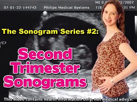 Gender Selection and Sex (Pregnancy Health Guru)