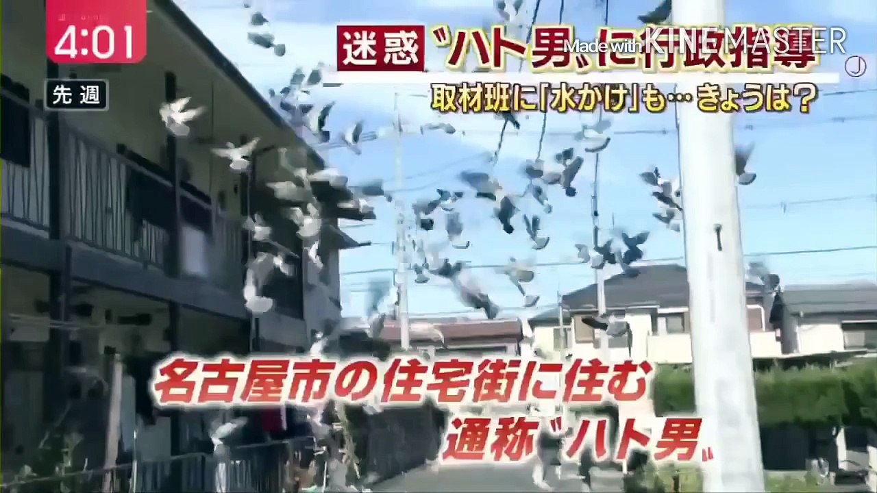 ハト男が記者にw ハト男鳩おじさんが記者にバケツで水をw