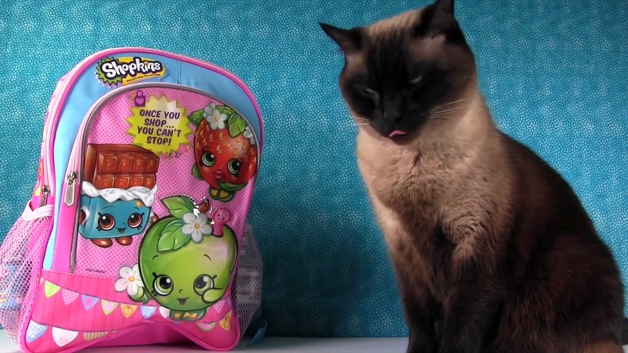 Shopkins Surprise Toys Backpack | Tokidoki Moofia Disney Yummy World PSToyReviews