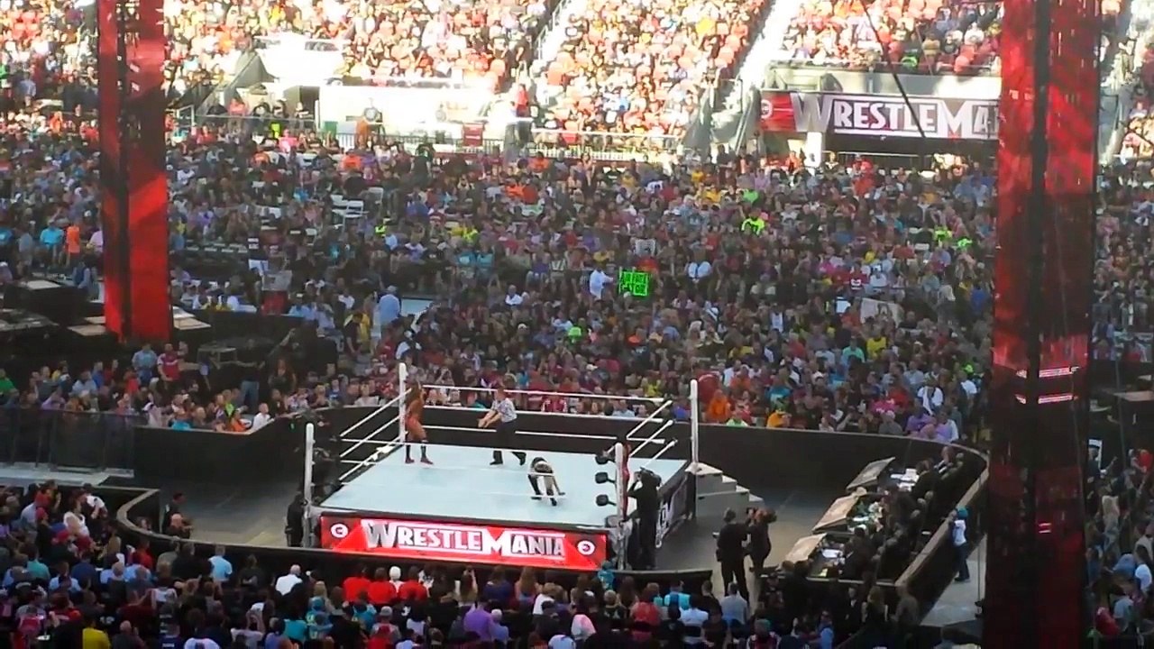 Aj Lee & Paige vs. Bella Twins Wrestlemania Xxxi