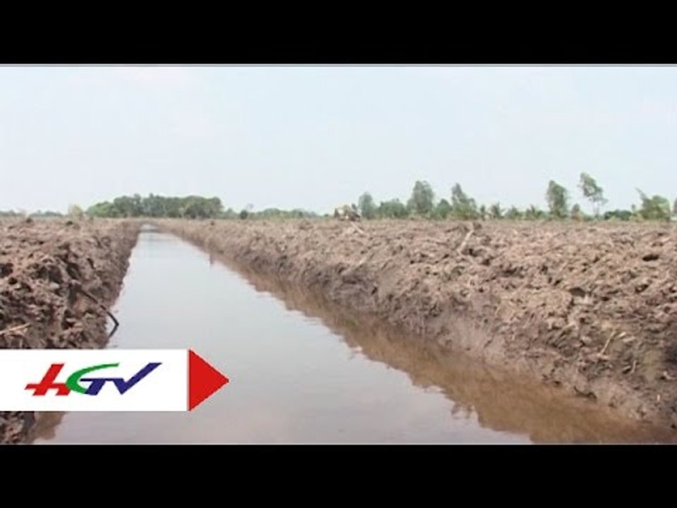 Kinh nghiệm làm đất ở những vùng nhiễm mặn | HGTV