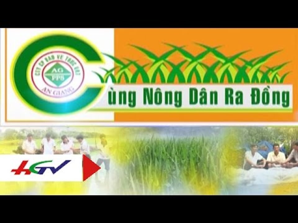 Diệt cỏ, trừ ốc vụ hè thu | HGTV
