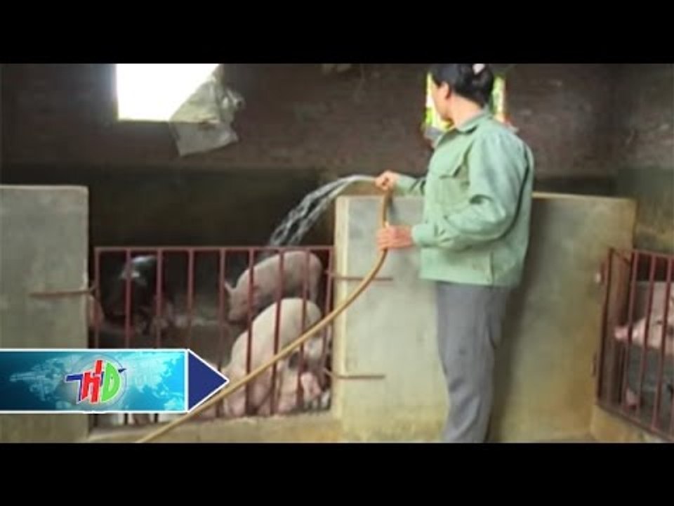 Lay lắt cảnh "mẹ góa, con côi" | HDTV