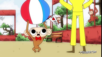 CURIOUS GEORGE OF THE APES