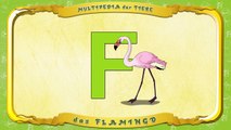 Multipedia der Tiere. Buchstabe F das Flamingo