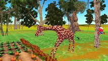 Finger Family Nursery Rhymes for Children Giraffe Cartoons | Finger Family Children Nurser