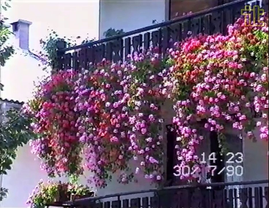 Luče leta 1990 pred poplavami
