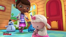 The Glider Brothers | Doc McStuffins | Disney Junior UK