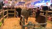 Salon de l'agriculture : Manuel Valls malmené par les éleveurs