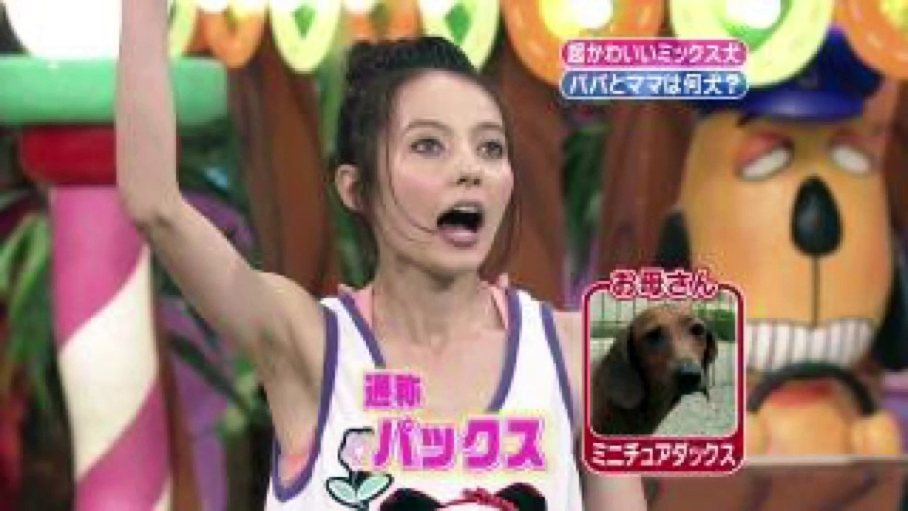【悶絶】ガードの固いベッキーがちょいエロに見える瞬間が可愛い♡