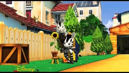 Непоседа Зу / Zou 11. Весёлый подсолнух