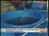 Maduro propuso criar peces en tanques en los apartamentos