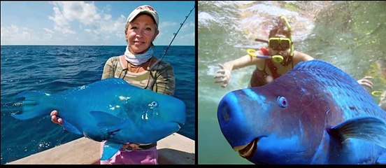 The Most Bizarre Creatures on Earth