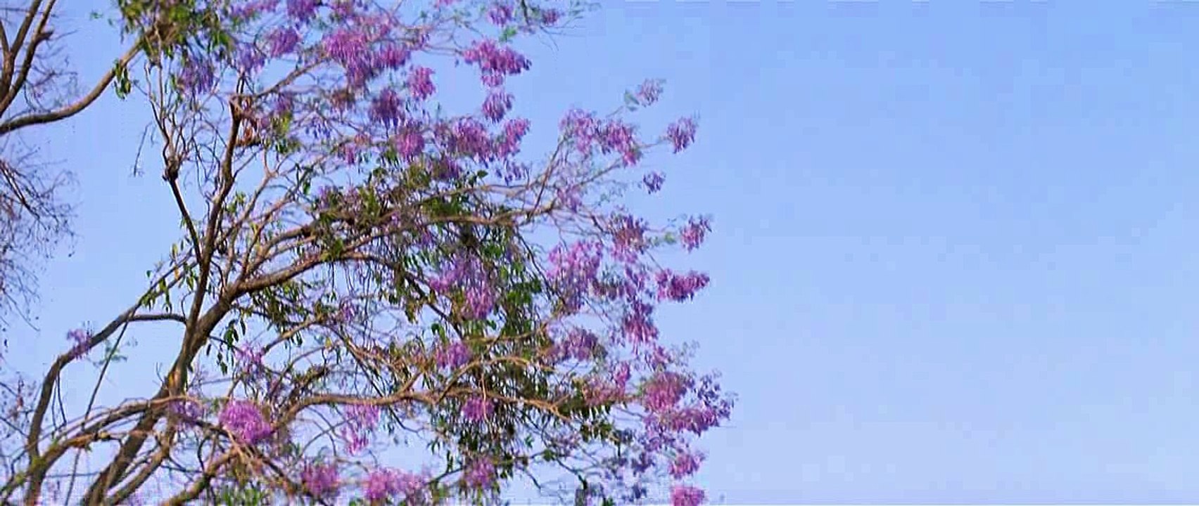 Swades---Yun Hi Chala Chala