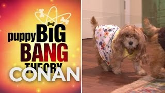 Puppy Big Bang Theory Is Here! - CONAN on TBS