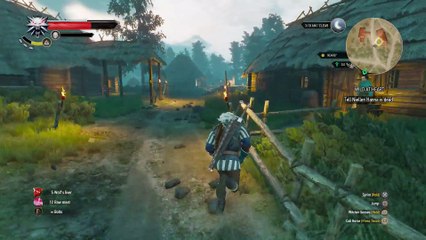 THE WITCHER 3 WALKTHROUGH PART 30 - WILD AT HEART & THE NILFGAARDIAN CONNECTION