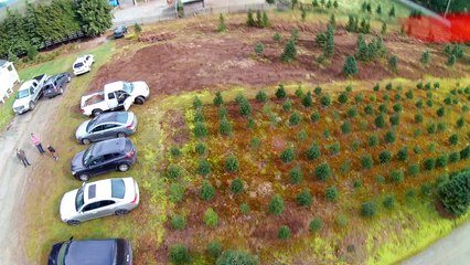 auntie winnies highspeed alien500