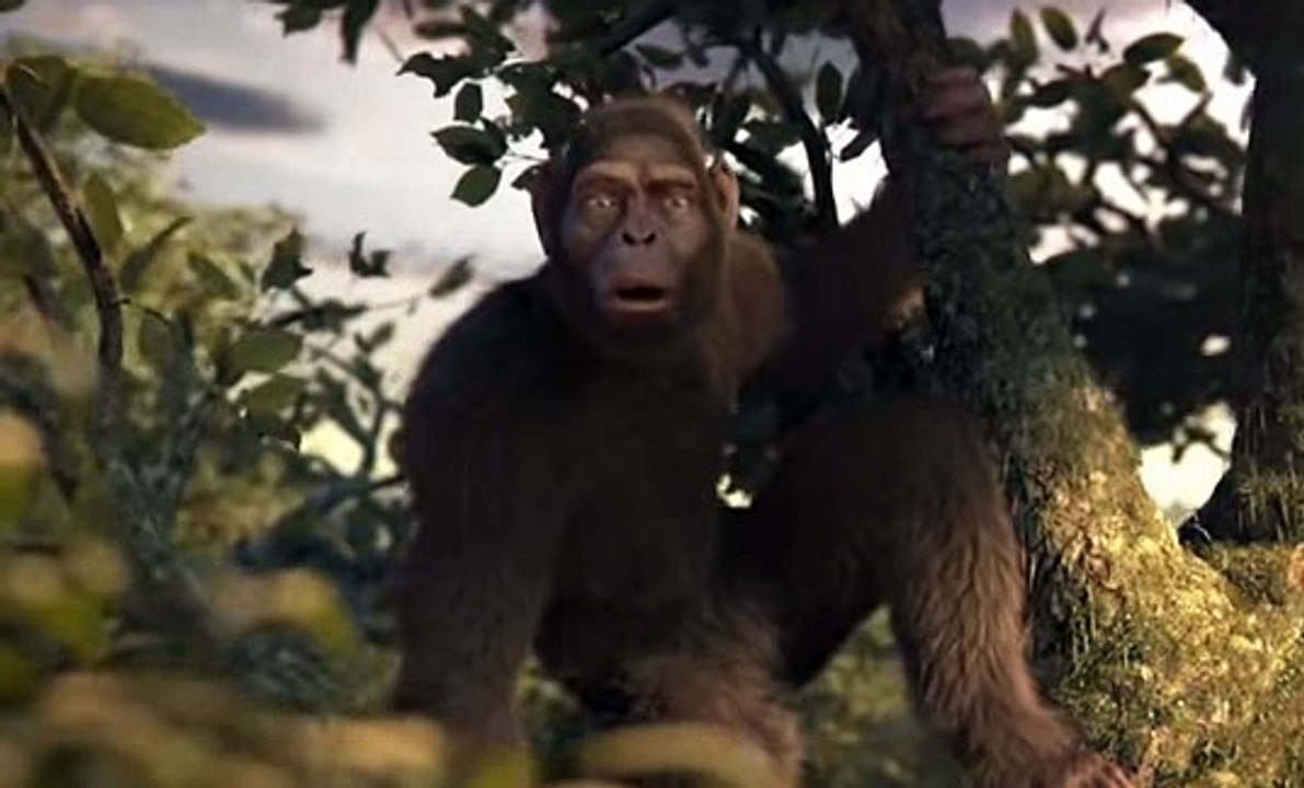 Monkey dancing 2016 | Funny monkey hip hop