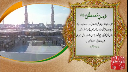 Ferman e Mustafa  - 92News HD