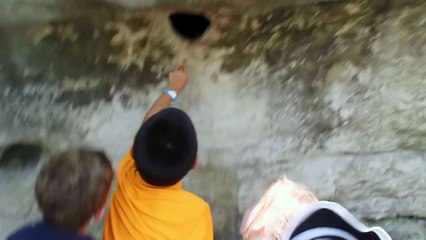 Ce qui se cache dans ce trou est dégoutant