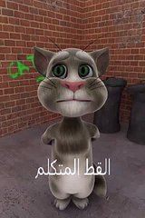 القط المتكلم بشرة خير