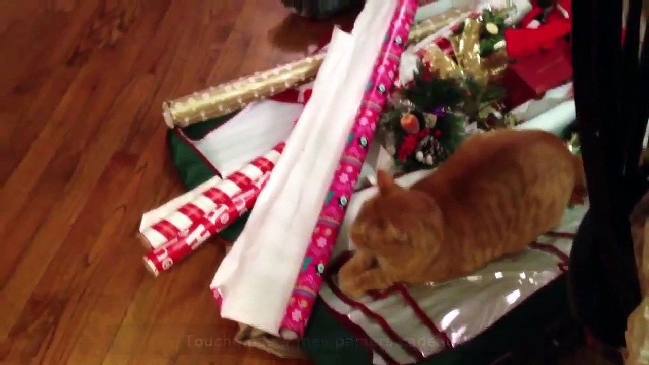 Le Zap de Spion 200 /zap2spion/le zapping - 2016