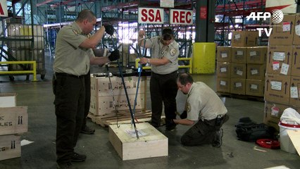 Criatividade do crime