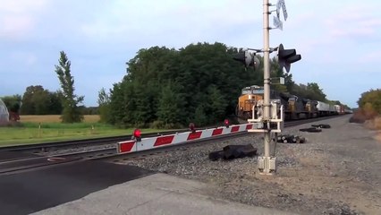 Someone Replaced Train Sounds With Screams, And It's Genius