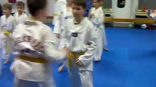 CRO MMA Spiritus Taekwondo