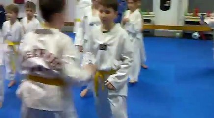 CRO MMA Spiritus Taekwondo