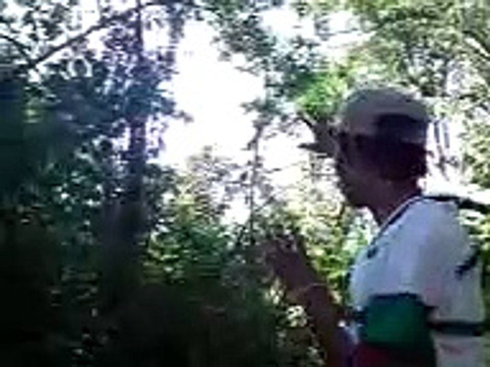 pez garmaño