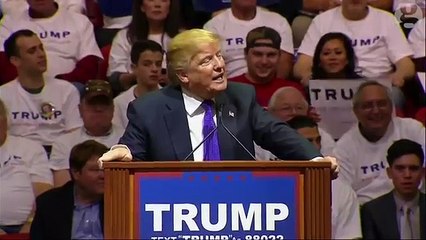 Tải video: Donald Trump says hed like to punch protester at Nevada rally