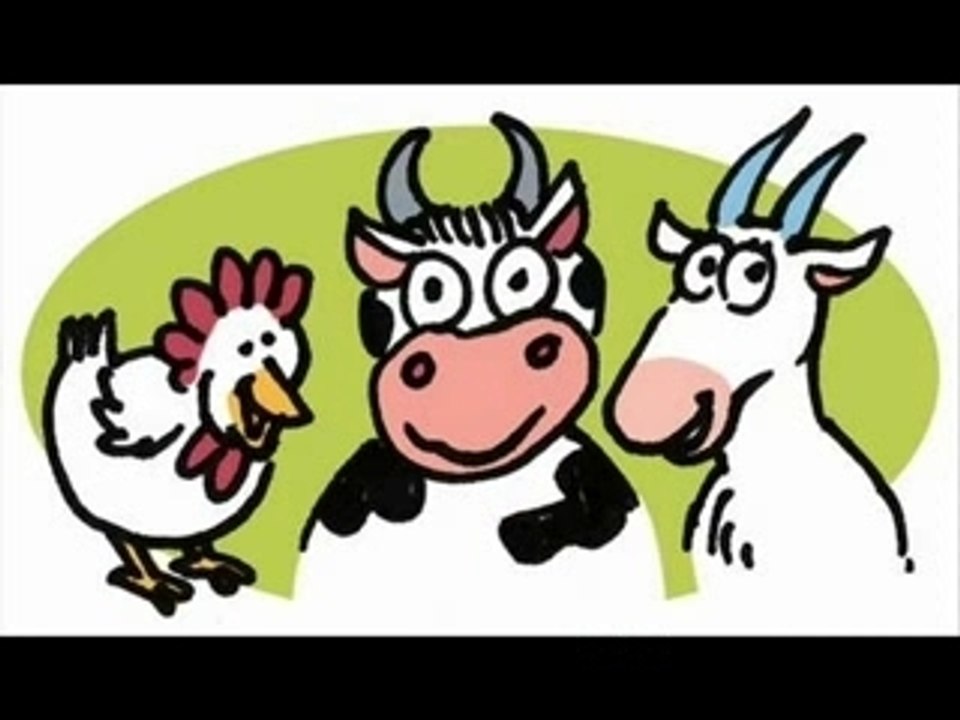 Poule