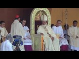 Manila Archbishop Luis Antonio Cardinal Tagle 's message to Pope Francis