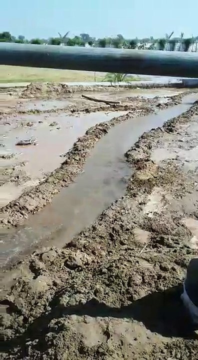 District Narowal