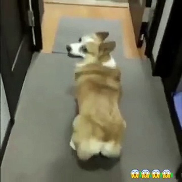 Dançando Funk