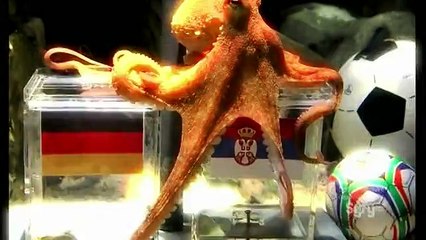 Weird Or What - Season 03 - Episode 05