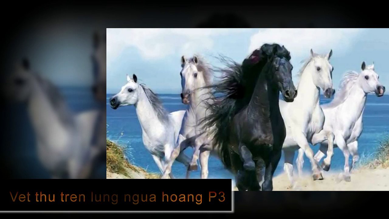 Hòa tấu Cha cha cha - Vết thù trên lưng ngựa hoang P3