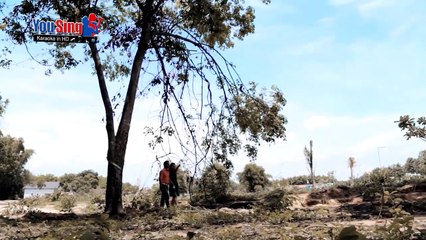 Chiều Hạ Vàng - Huỳnh Nguyễn Công Bằng -Karaoke