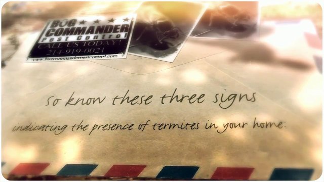 Home Pest Control Frisco TX _ Call 214-919-0021