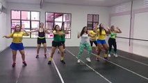 Dança do Pagobrega Coreografia Prof. Camila Carmona
