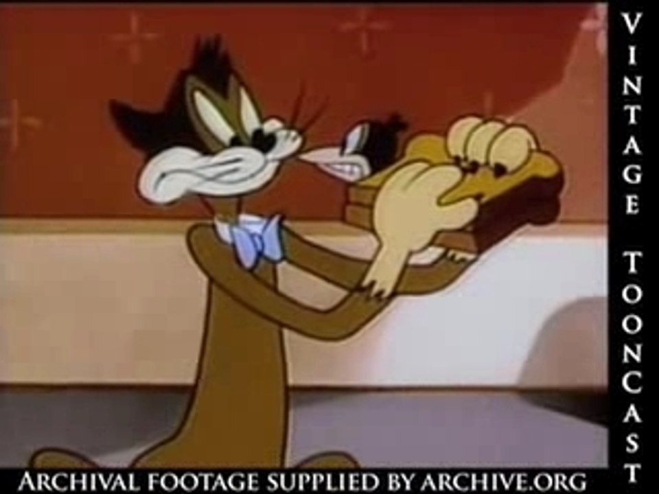 13 - The Stupidstitious Cat