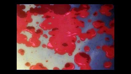 バジ甲賀VS伊賀⑦お胡夷死亡