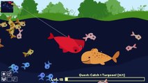 Kingfish Catastrophe - Cat Goes Fishing