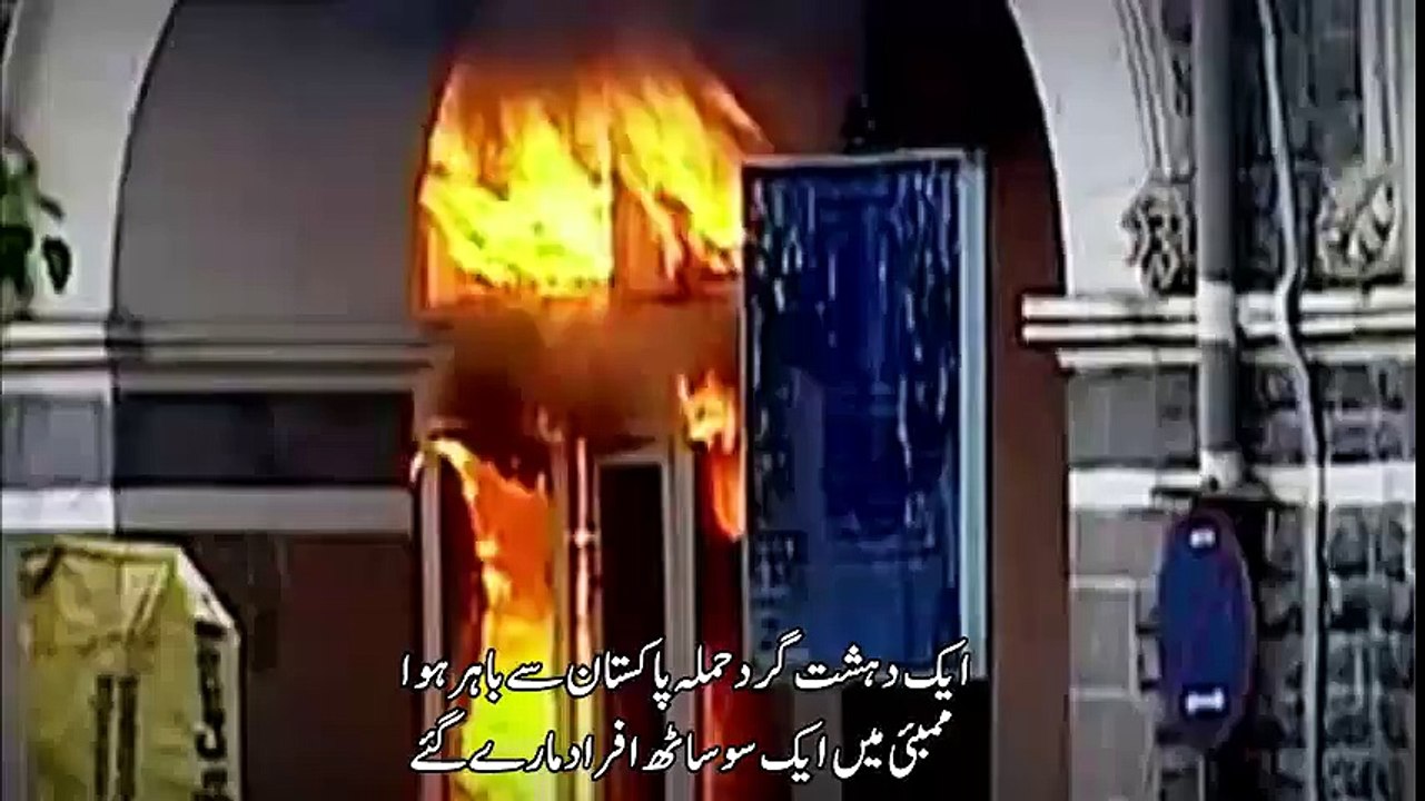 Does pakistani-Canadian Sharmeen Obaid Chinoy defaming Pakistan