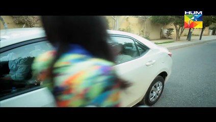 Lagao Episode 13 Full Hum TV Drama 29 Feb 2016