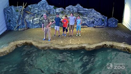 Toronto Zoo Wild Connections - Air Land Sea