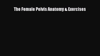 Read The Female Pelvis Anatomy & Exercises PDF Online