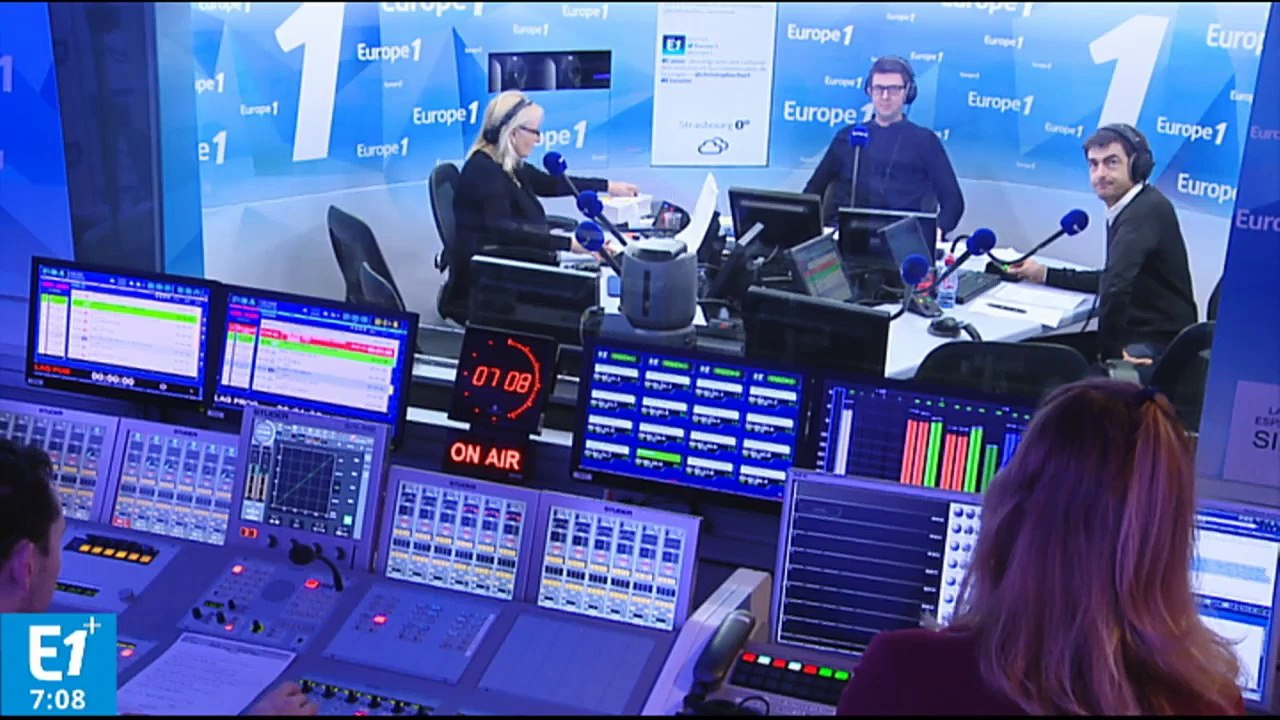 Salon de l'agriculture : la vente aux enchêres des vaches limousines