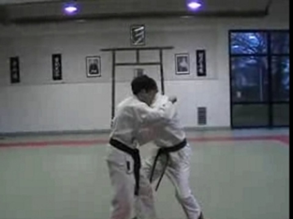 Entrainement Nihon Taï Jitsu Plérin